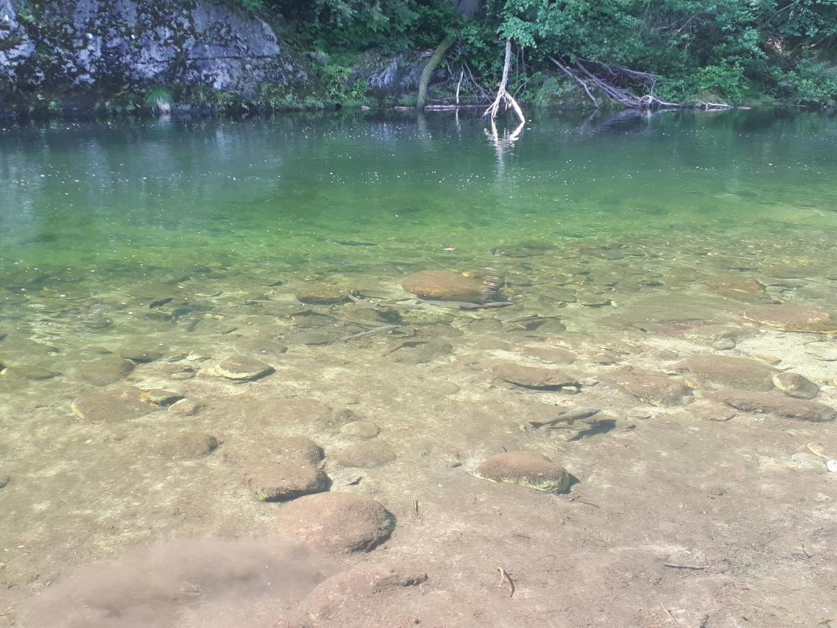 Appartamento La Meridiana A Traffiume Cannobio Exterior foto